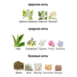 ORMONDE JAYNE QI INTENSIVO parfume 10ml mini