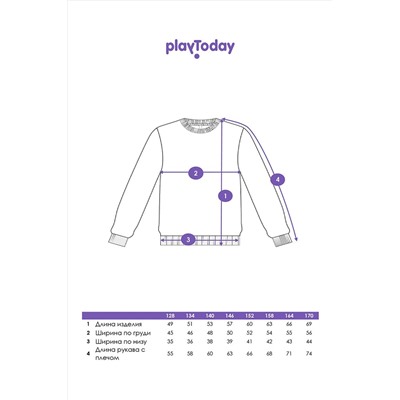 Толстовка PLAYTODAY, 1088883