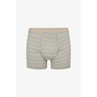 Penti Erkek Pamuklu Blue Design Çok Renkli 3lü Boxer