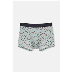 Dagi Gri Mavi 5210 Desenli Pamuk Boxer