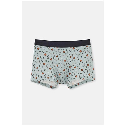 Dagi Gri Mavi 5210 Desenli Pamuk Boxer