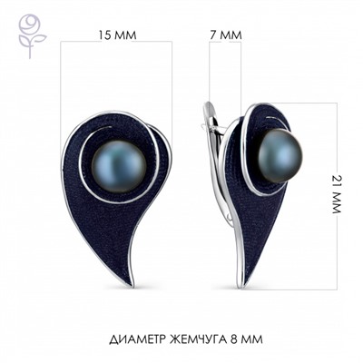 Серьги серебро 52827S2U