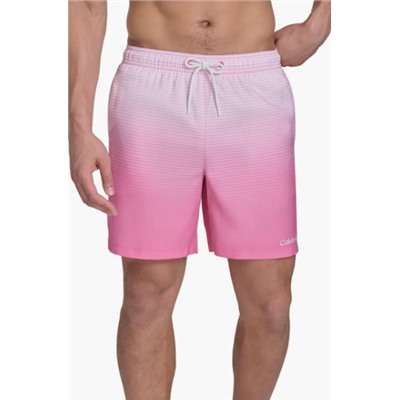 Graphite Stripe Core Volley Swim Trunks Calvin Klein