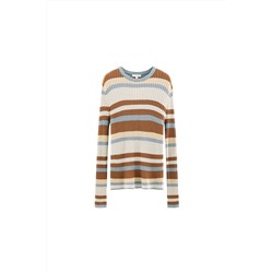 Jersey Marrón y celeste