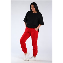 Брюки футер двухнитка с тонким начесом Арт. 1009