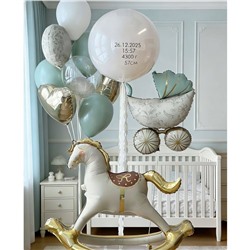 Набор шаров для выписки с роддома