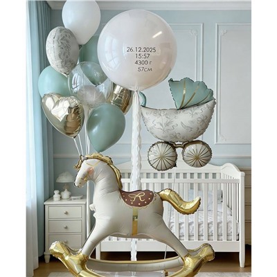 Набор шаров для выписки с роддома