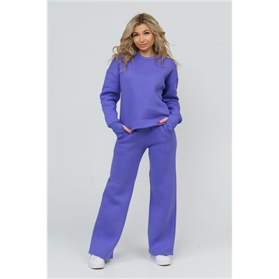 Костюм 36592 (свитшот + брюки) НАТАЛИ #811319