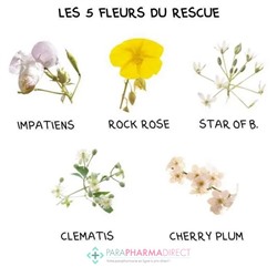Fleurs de Bach Rescue Nuit Pets Compte-Gouttes 20ml