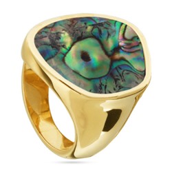 Кольцо Амфитрита (гелиотис; покрытие золото), Есть комплект