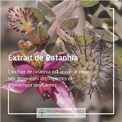 Weleda Gel Dentifrice Végétal - Protège les Gencives Sensibles - Goût Menthe Verte 2x75mlLot  × 2