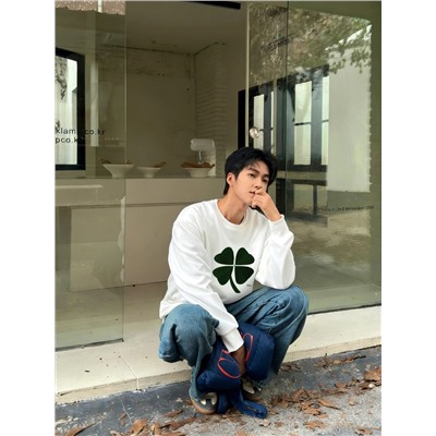 Толстовка / свитшот унисекс с объемной вышивкой клевера  ДИО*Р