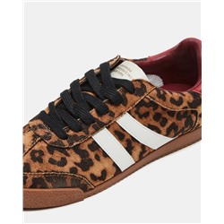 Hudsin Leopard