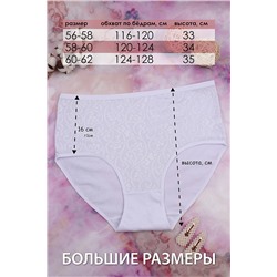 Трусы GL522 НАТАЛИ #877328