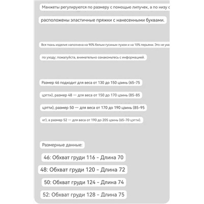 Мужской пуховик  FEND*I