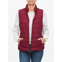 ColdControl Puffer Vest
