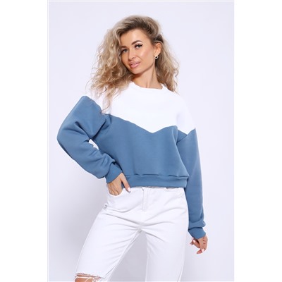 Толстовка 21011