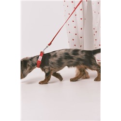 Correa perro roja corazones