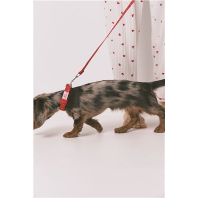 Correa perro roja corazones