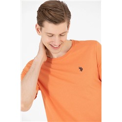 Erkek Kiremit Basic Bisiklet Yaka Tişört