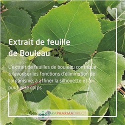 Weleda Jus de Bouleau BIO Détox 250ml