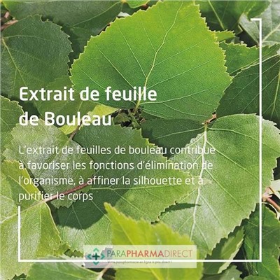 Weleda Jus de Bouleau BIO Détox 2x250mlLot  × 2