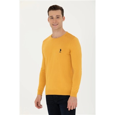 Erkek Hardal Basic Kazak