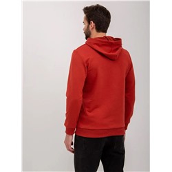 Худи мужское футер петля, Арт. 1037