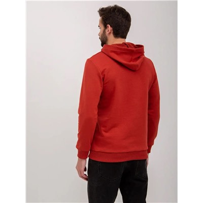 Худи мужское футер петля, Арт. 1037