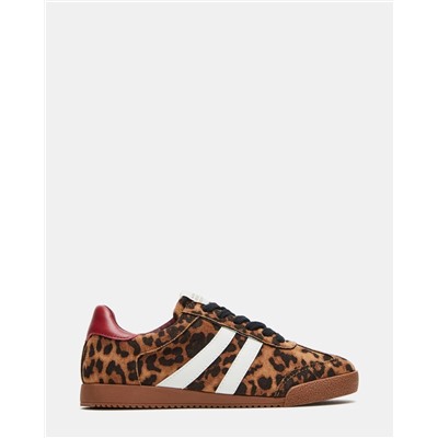 Hudsin Leopard