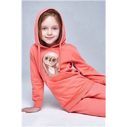 Толстовка #306421