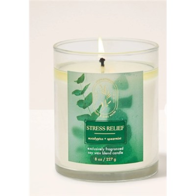 Aroma  Eucalyptus Spearmint Single Wick Candle