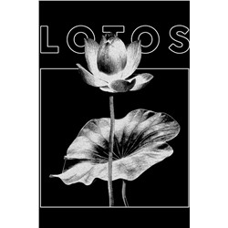 Футболка OXOUNO, 1020322