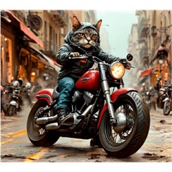 Декоративная атласная наволочка "Кот байкер" 45х45см интерьерная