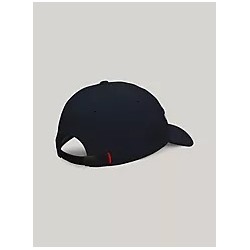 Flag Stripe Logo Baseball Cap