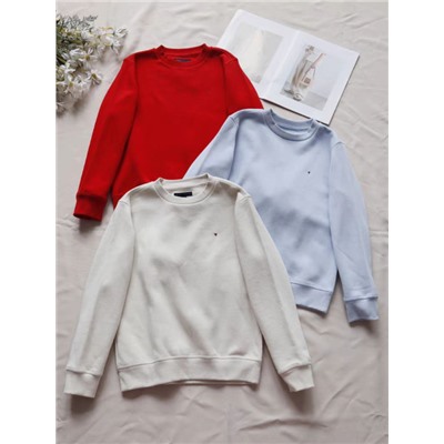 Детские и подростковые толстовки  ТОМИ ХАЙФИГЕ*Р. Экспорт