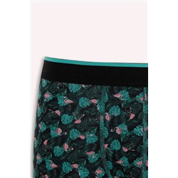 DeFacto Regular Fit 3lü Boxer B7970AX24SP