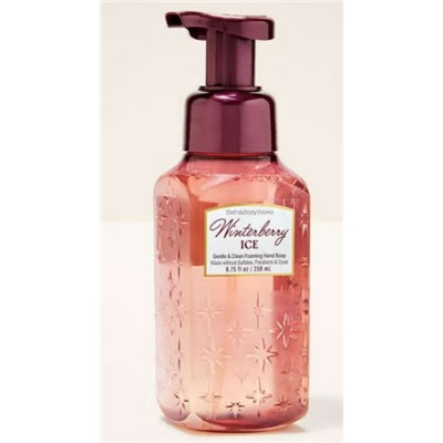 Winterberry Ice Gentle & Clean Foaming Hand Soap