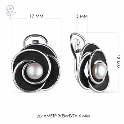 Серьги серебро 52857S1B