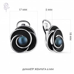 Серьги серебро 52857S2B