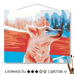 «МОРОЗНОЕ УТРО»