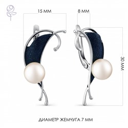 Серьги серебро 52825S1U