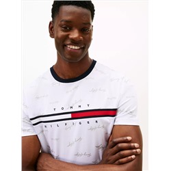 Signature Flag Stripe Logo T-Shirt