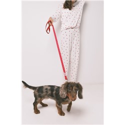 Conjunto de correa y collar