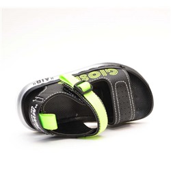 Санадалии  Канарейка (21-24)