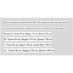 Мужские спортивные штаны  СК