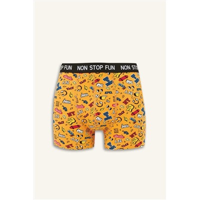 DeFacto Regular Fit 3lü Boxer B4782AX24WN