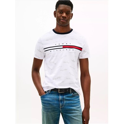 Signature Flag Stripe Logo T-Shirt