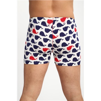 трусы мужские 74401