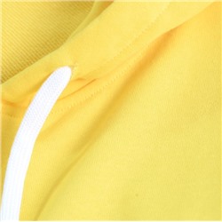 Хлопковая классическая толстовка с капюшоном РАЛЬ*Ф Л